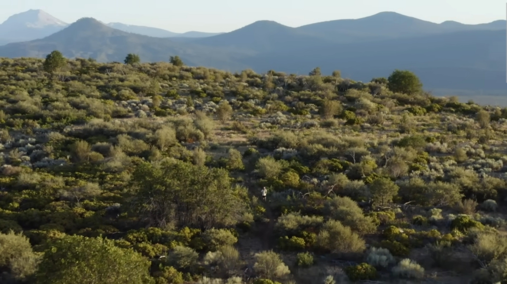 Aerial shot of a man running through the desert
