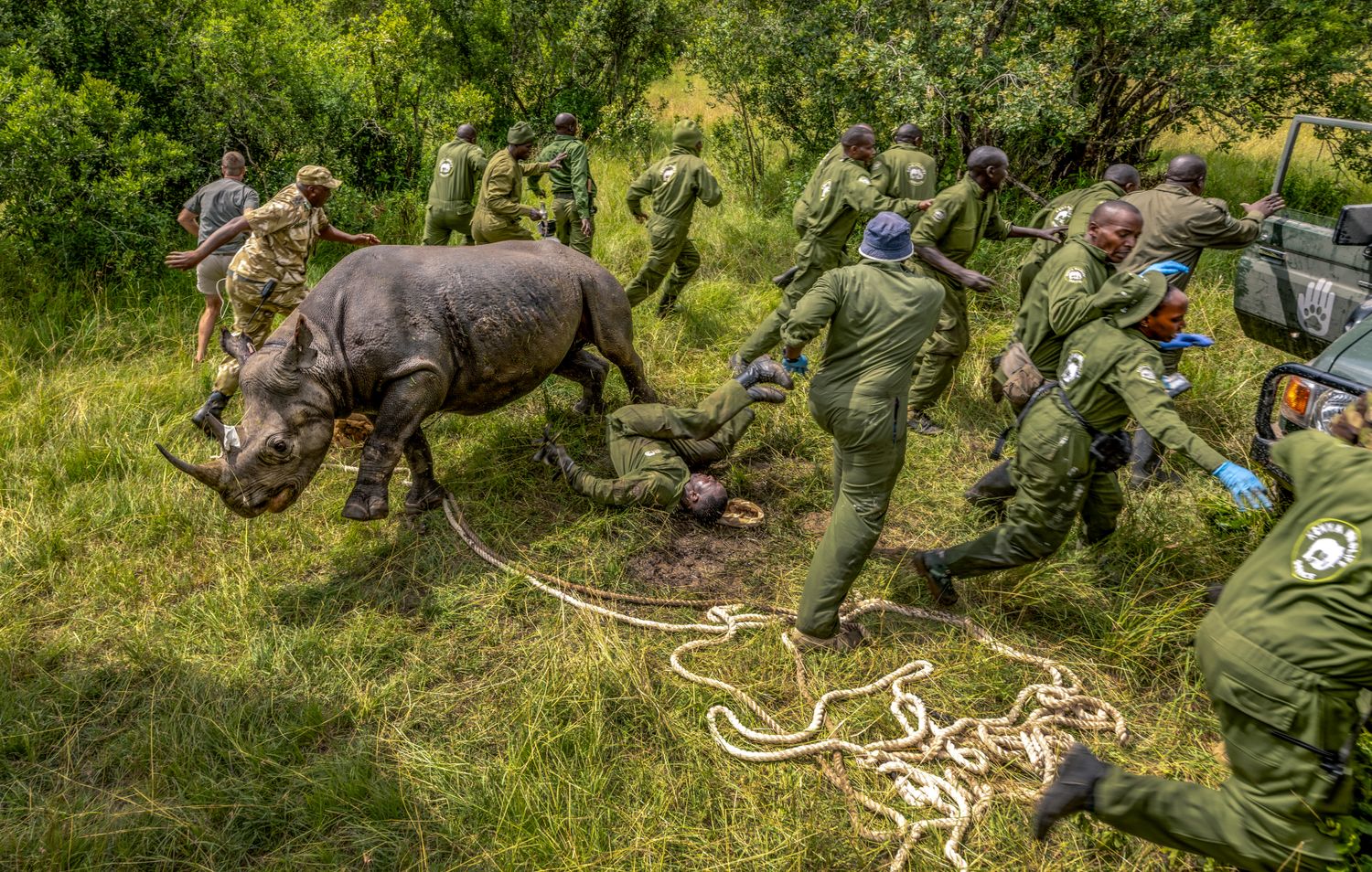 A group of men in unform run next to a rhino.