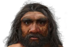 Artists impression of a denisovan man