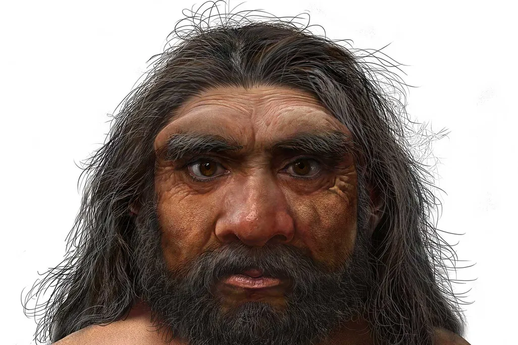 Artists impression of a denisovan man