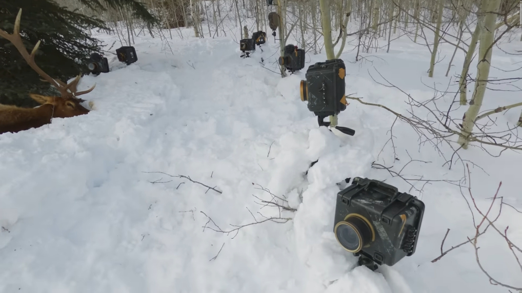 Cameras set up in the snow