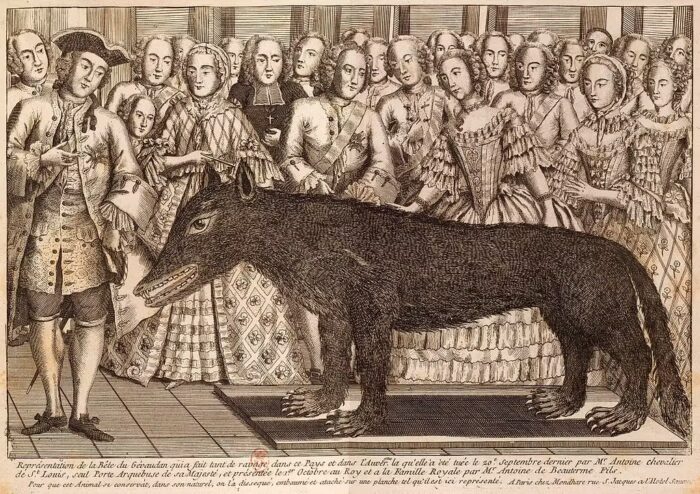 The Beast of Gévaudan on display at court.