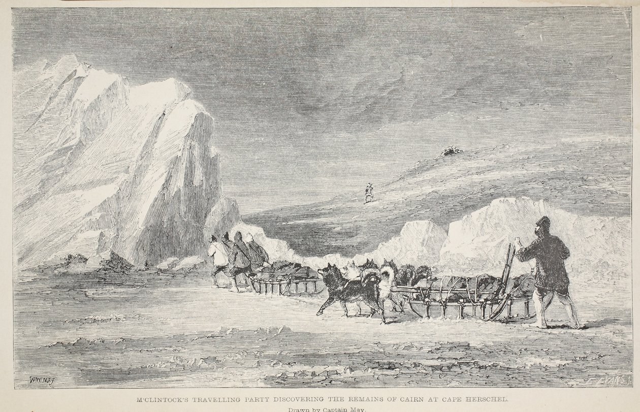 Illustration of an Arctic expedition with dogs