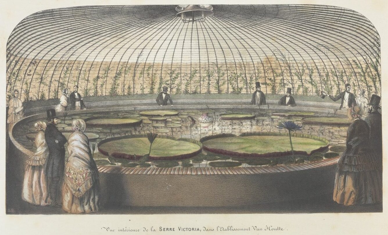 Greenhouse interior