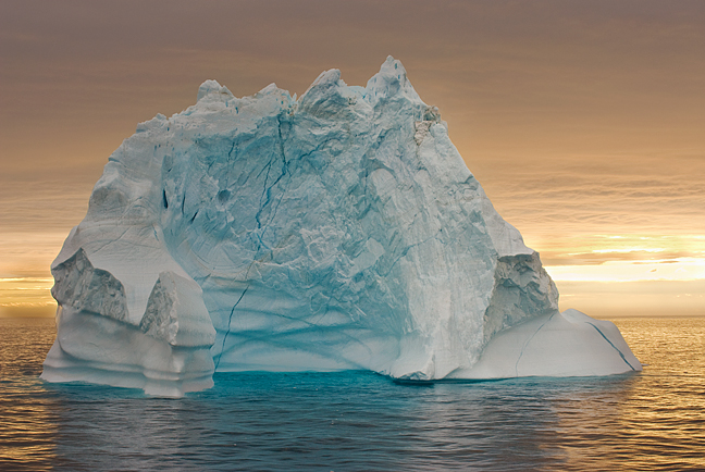 A Newcomer's Guide to Icebergs