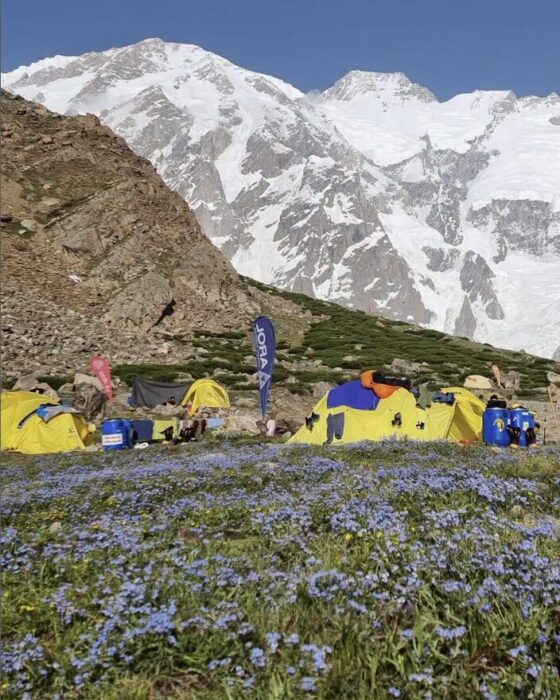 Nanga Parbat Base Camp on grassy meadows full of flowers.