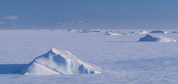 icebergs