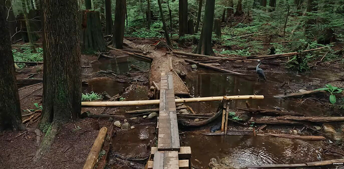 mountain biking trail