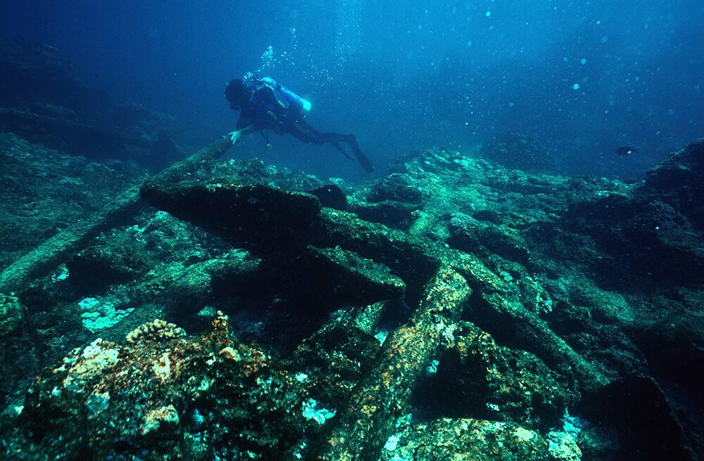 A diver