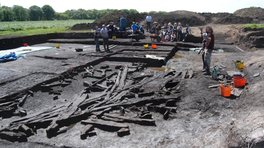 A dig site with timber in peat.