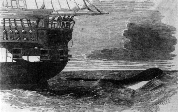 sea serpent near ship
