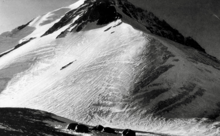 View of Ulugh Muztagh, looking west in late afternoon from Camp 2 in the foreground in 1985.