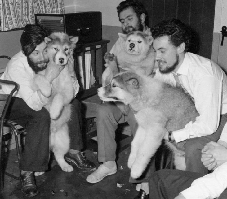 Three men sitting and holding large dogs