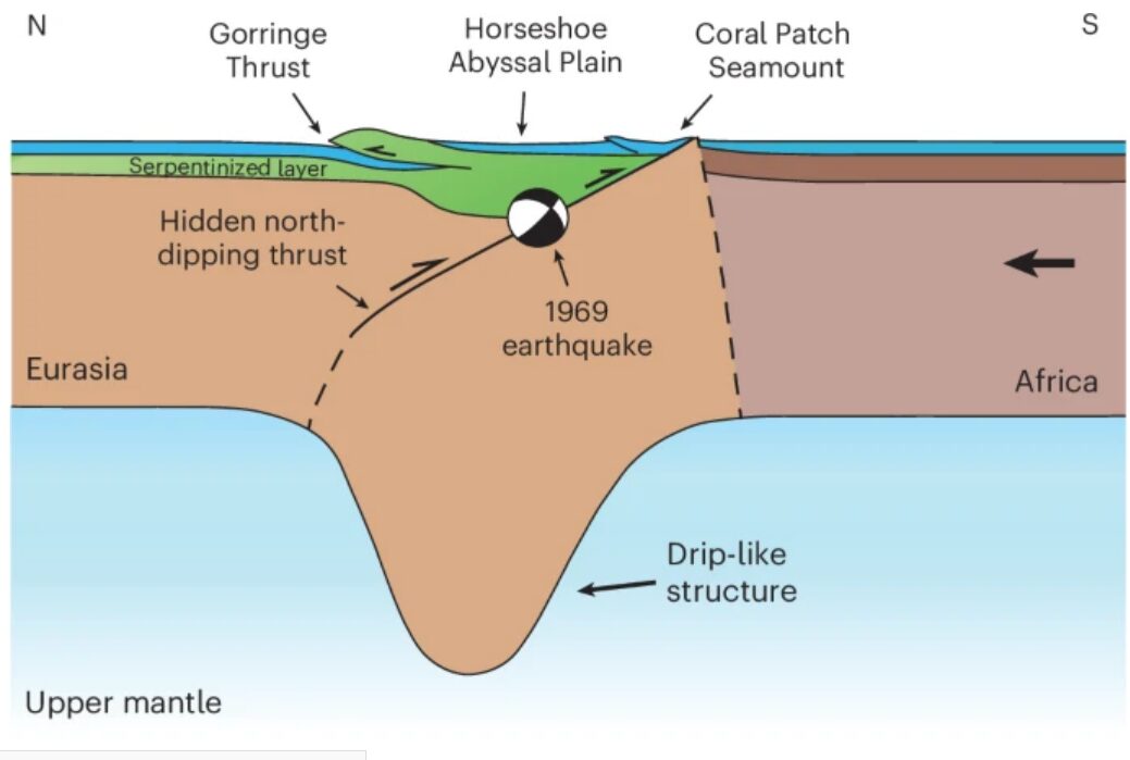 A diagram showing the serpentinized mantle.