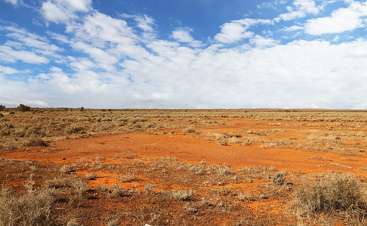A red desert