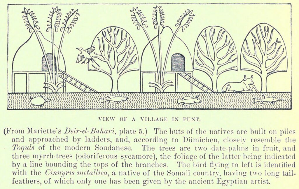 A section of a book