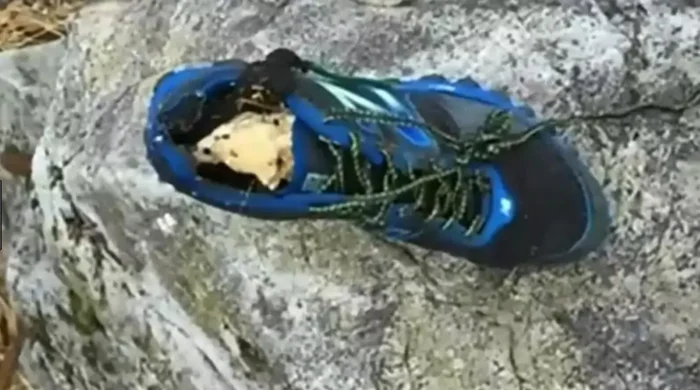 black and blue shoe with human foot