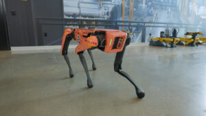 A quadruped robot.