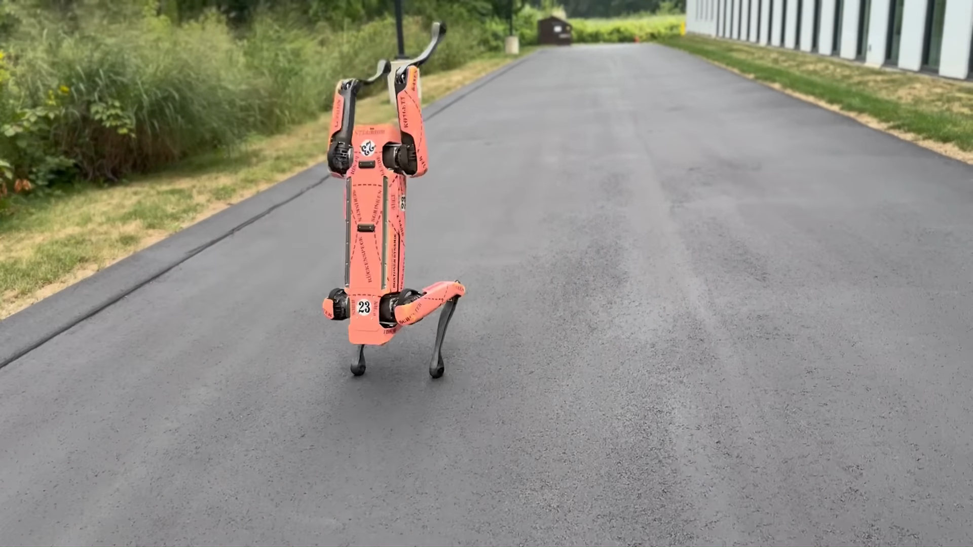A quadruped robot doing a backflip