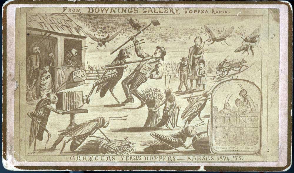 A contemporary cartoon from Kansas showing the struggle between farmers and grasshoppers. 