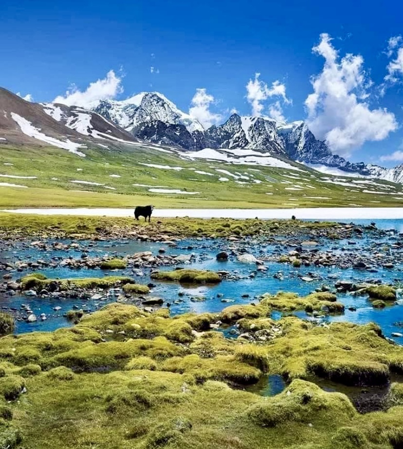 The source of Teesta River. Cholamo (also spelled Tso Lhamo) lake at North Sikkim. Not opened for tourists.