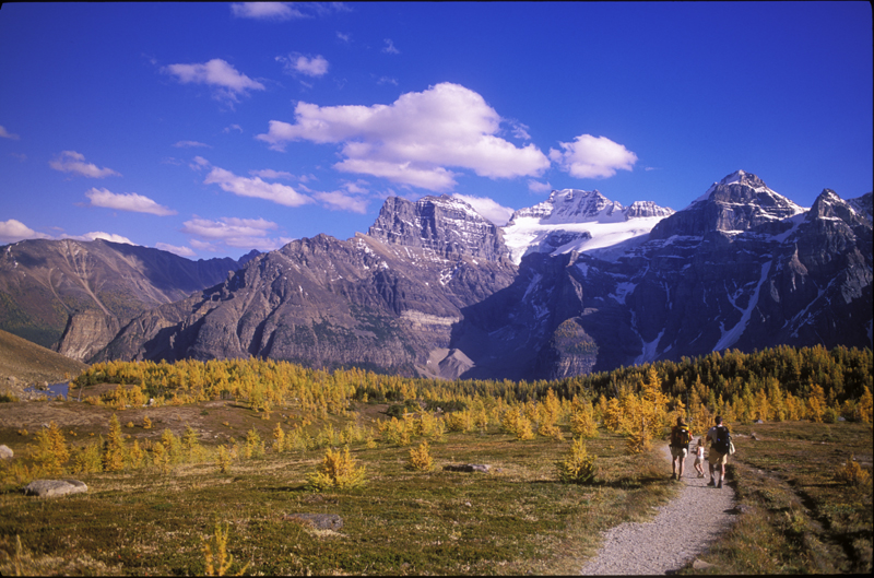 larch valley, Banff National park