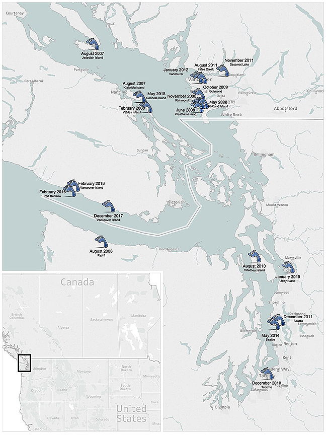 map of the feet's location