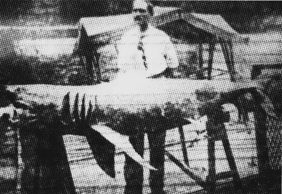 A man holding a shark