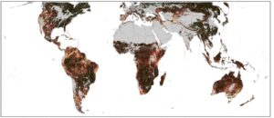 A map showing gradients centered on the tropics.