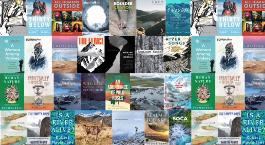 covers of book finalists