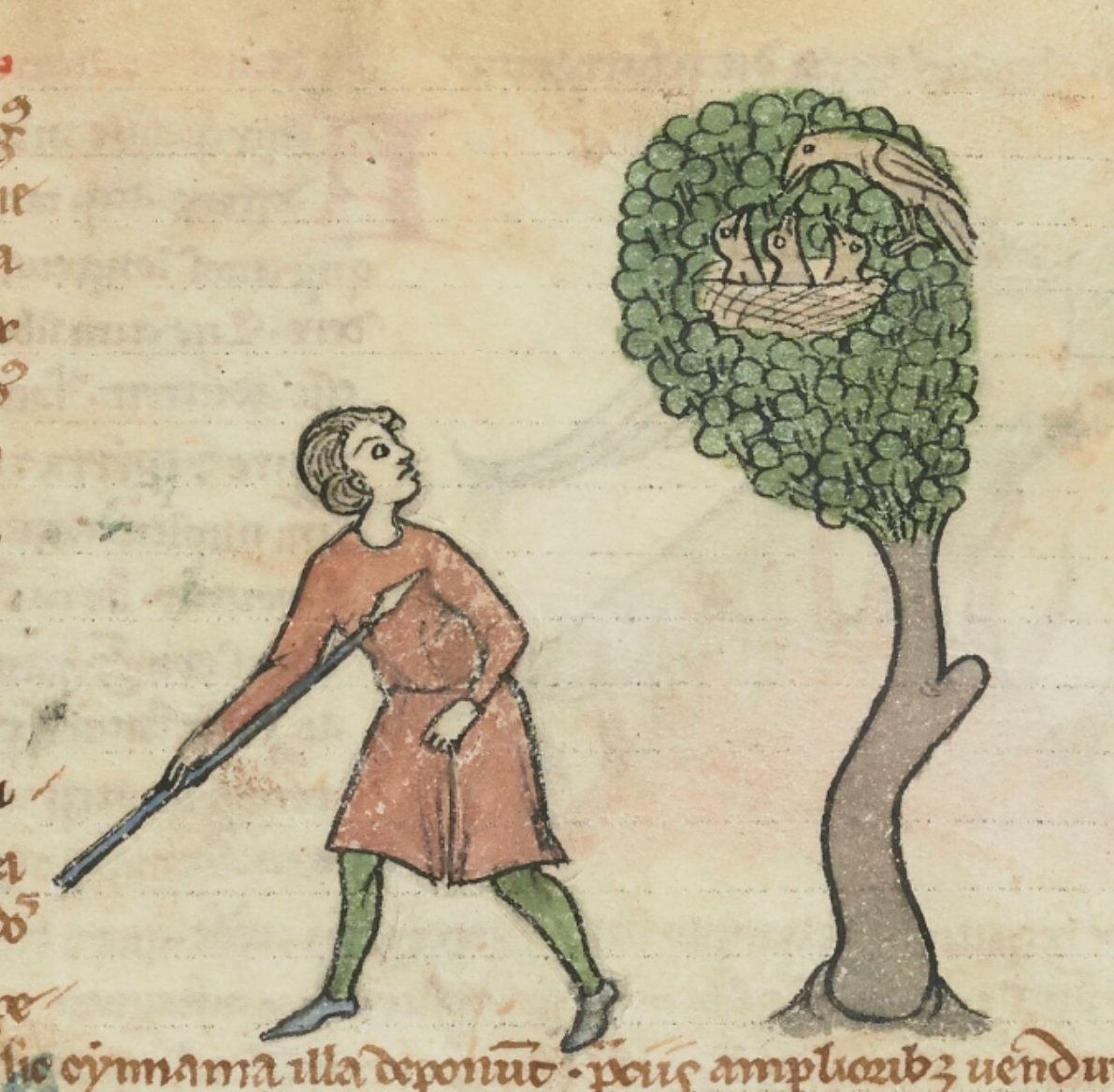 an illustrated manuscript