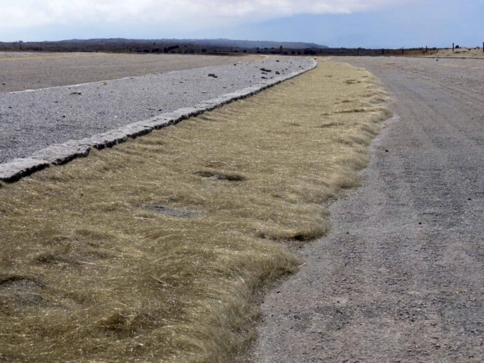 Pele's Hair on the road