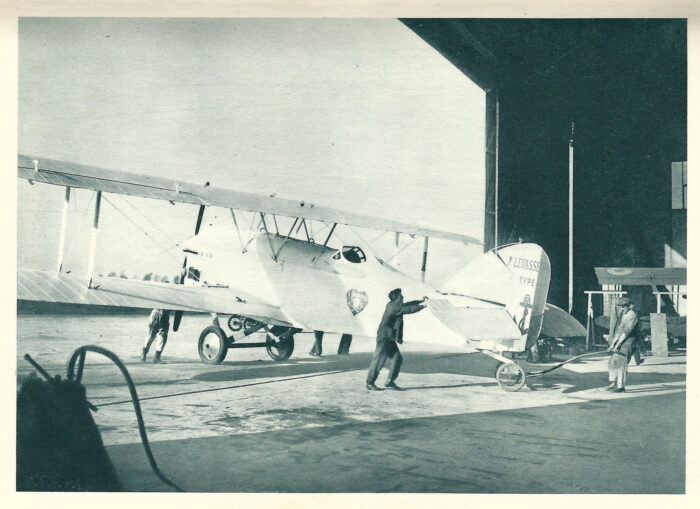 White bird in the hangar