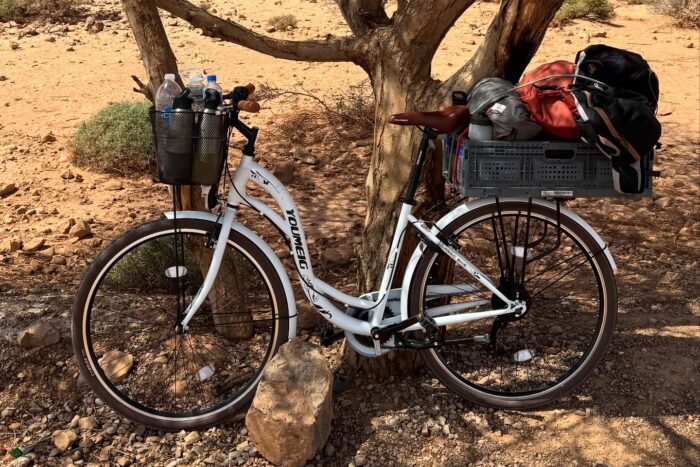 bike against tree
