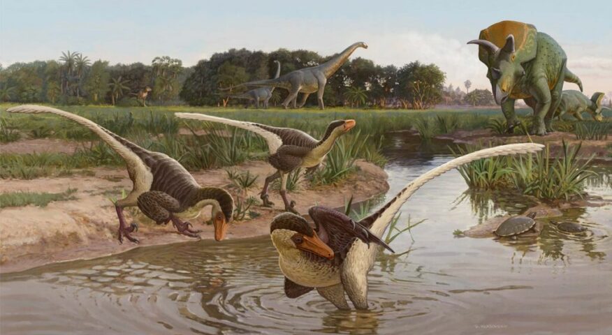 Paleo art of raptors, sauropods