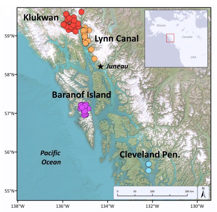 Map depicting the four study areas and locations where radio-marked mountain goats were studied and died in avalanches during 2005–2021 in coastal Alaska.