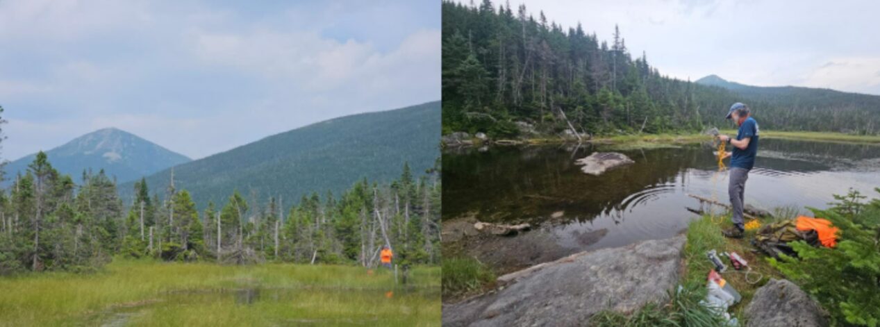 Two photos of water bodies in the woods.