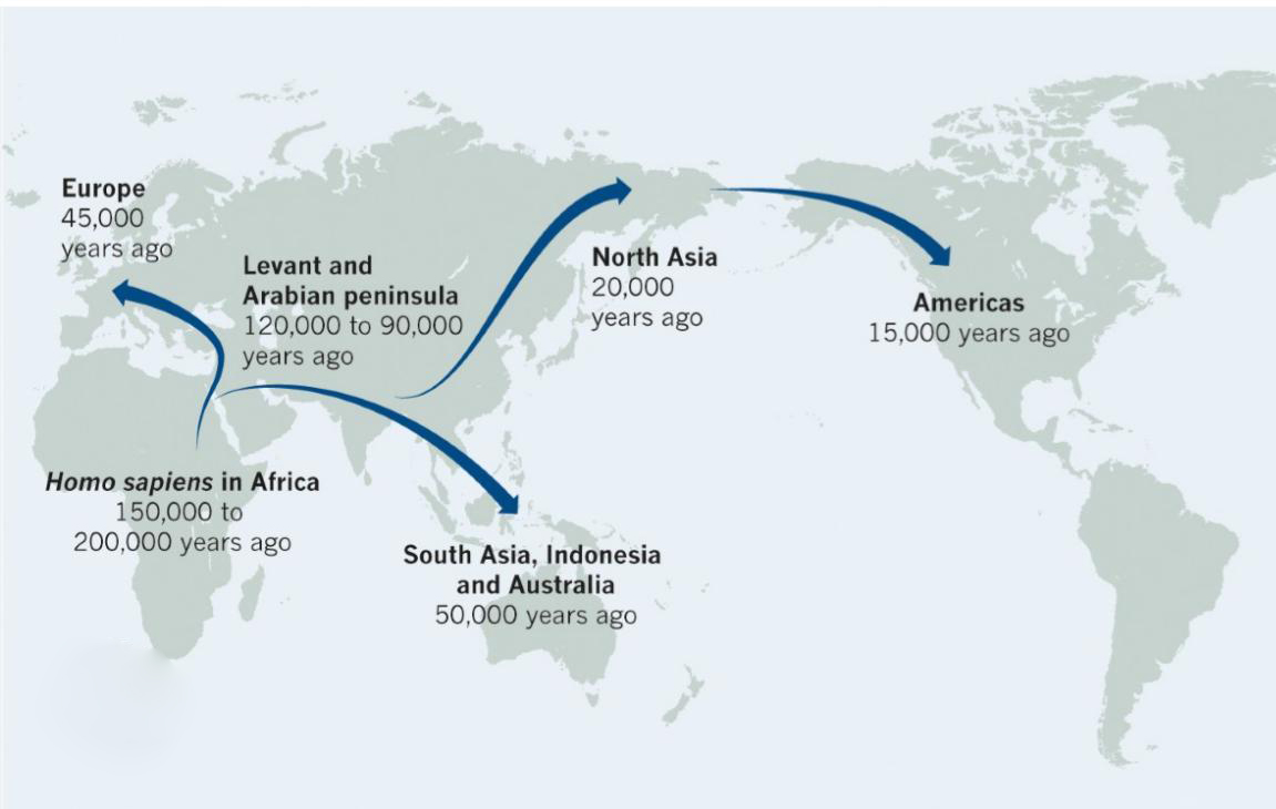 migration maps