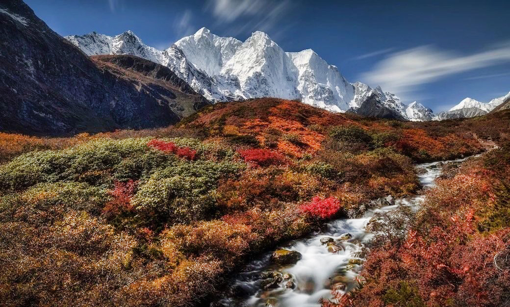 reddish bushes, a creek and snowy peaks in background.