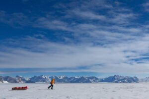 A woman pulling a sled in the Antarctic