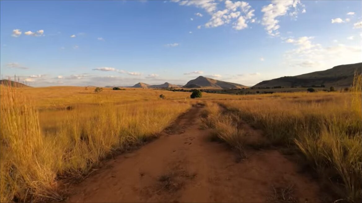 A field with mountains in the distance