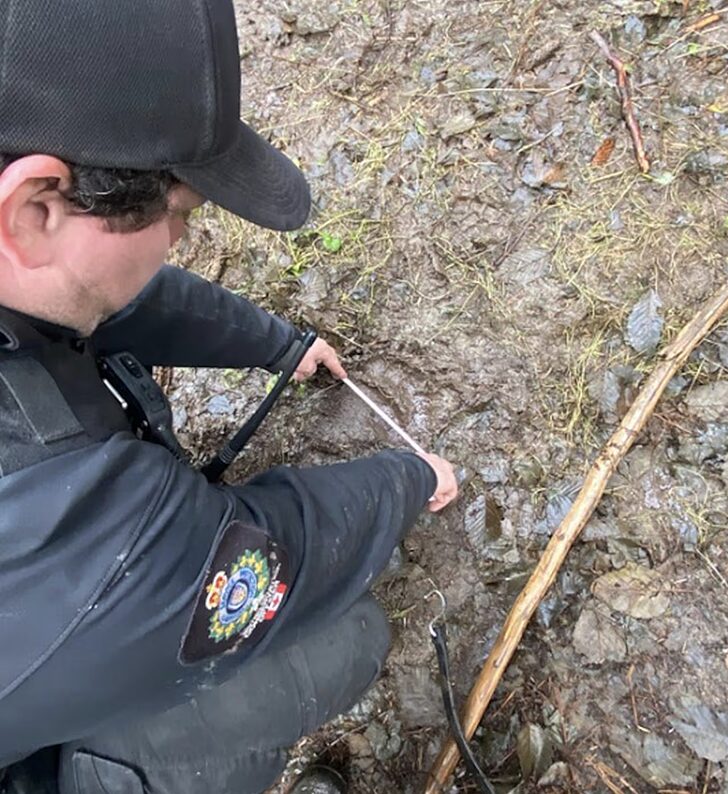 uniformed man crouching and measuring paw print