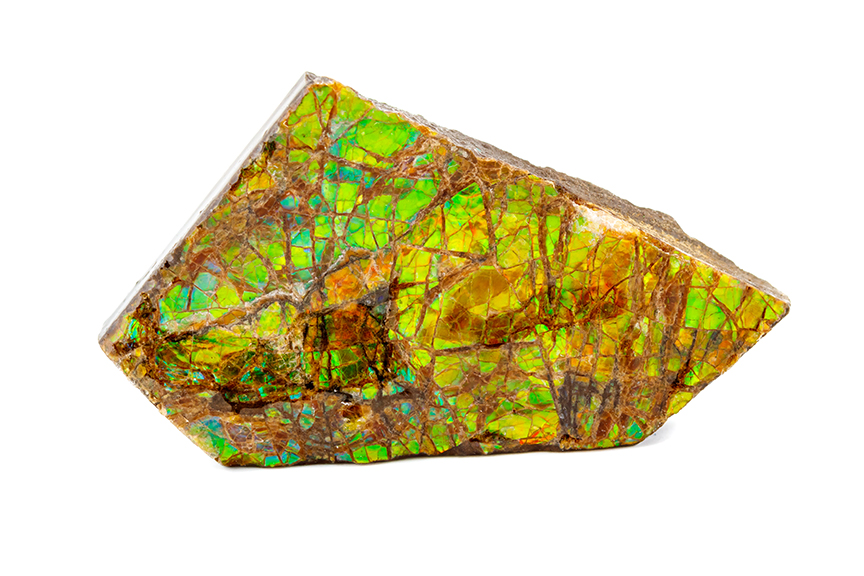 ammolite mineral, rainbow colored