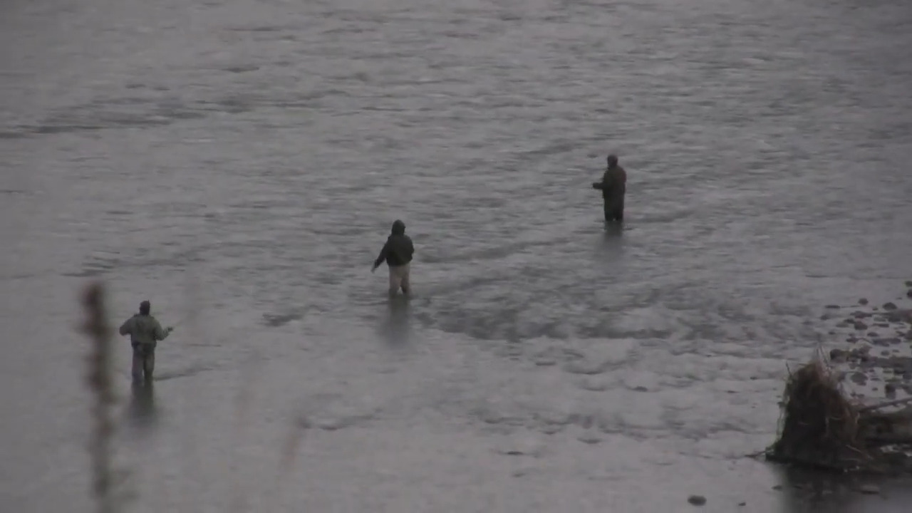 Fishing on the river