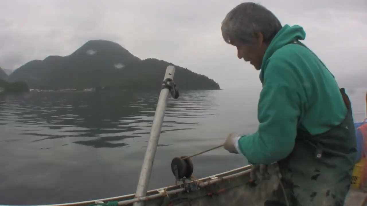 A man fishing on a misty coast