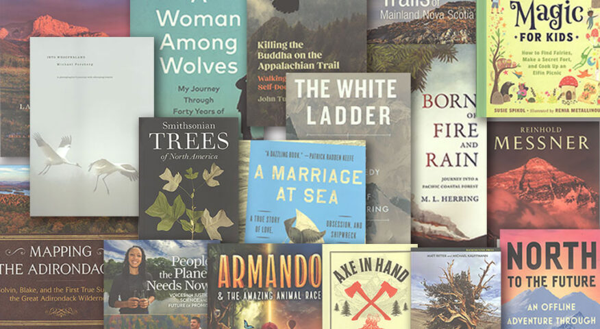 A collage of book covers