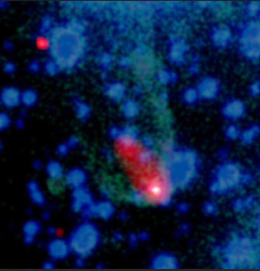 A bright pink blob against a blue background.