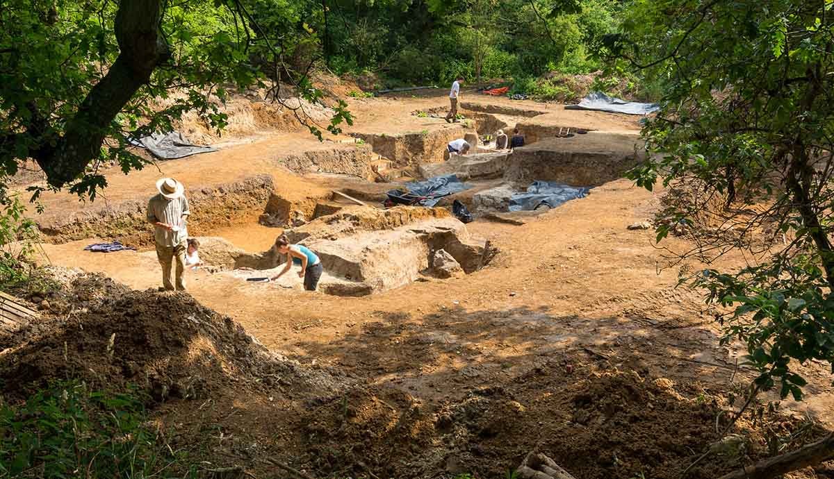Archaeologists around a dig site in the forest.