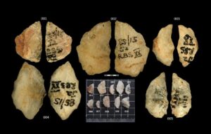 An image of the arrowheads analysed in the study.