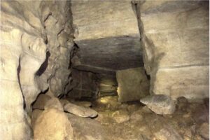 cave of the oilbirds